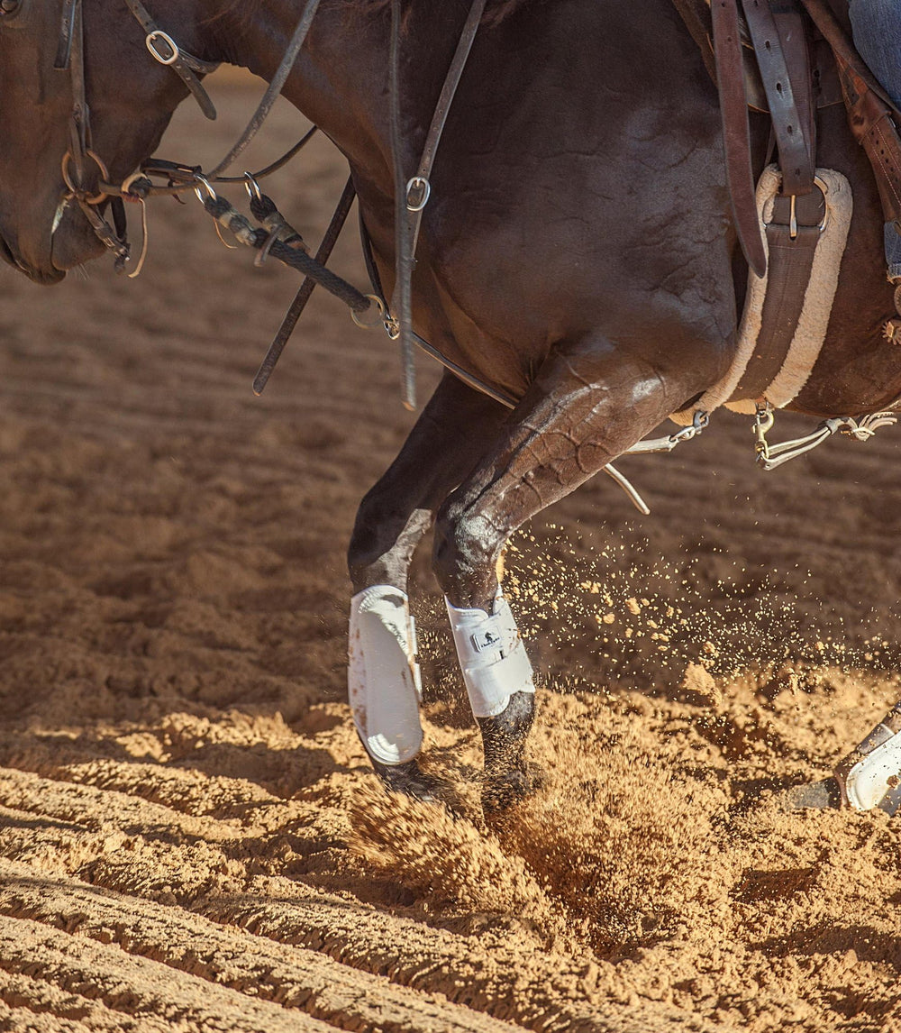 Classic Equine AirWave Front Splint Boots in use during show and training scenarios
