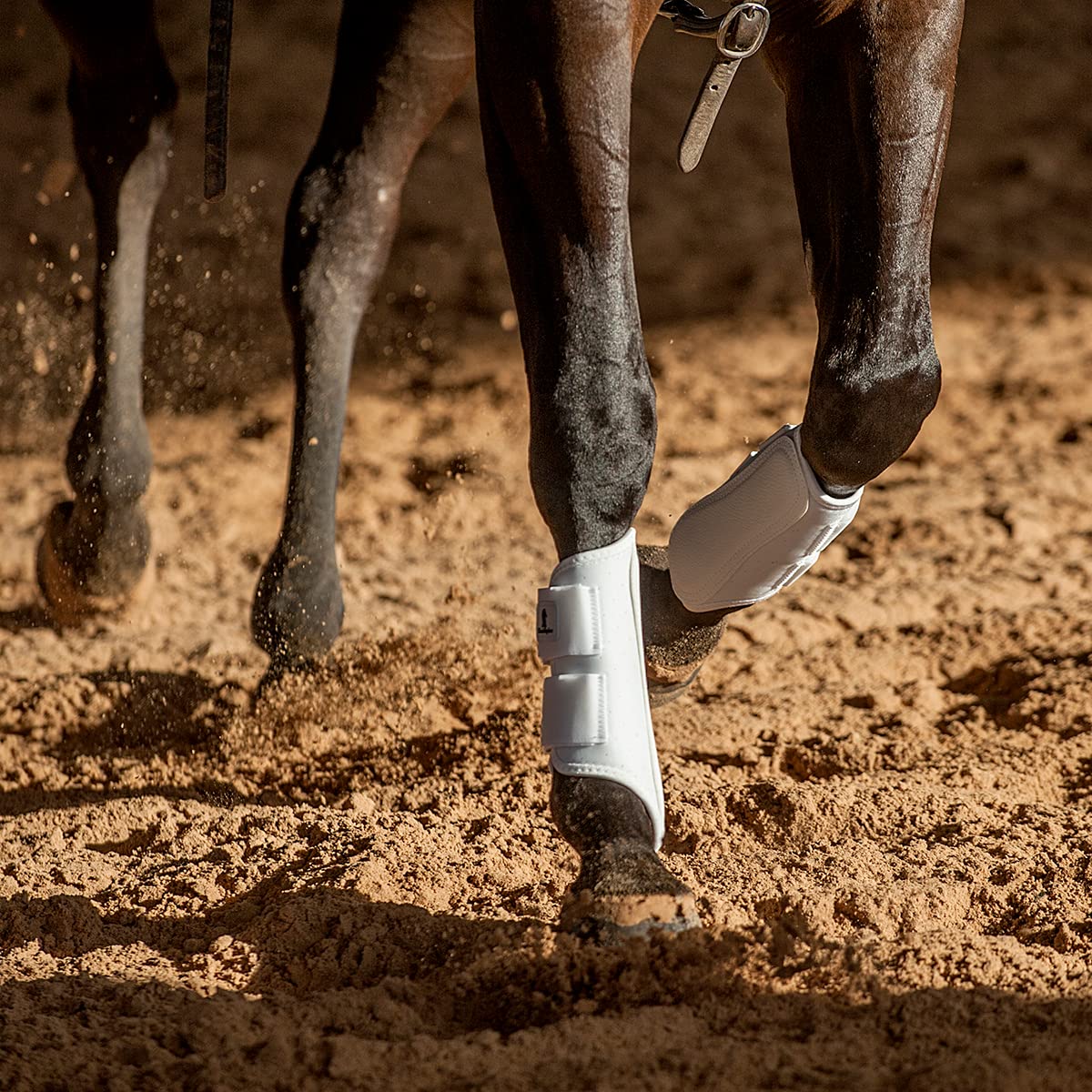Classic Equine AirWave splint boot front white perforated foam cooling for legs during workouts