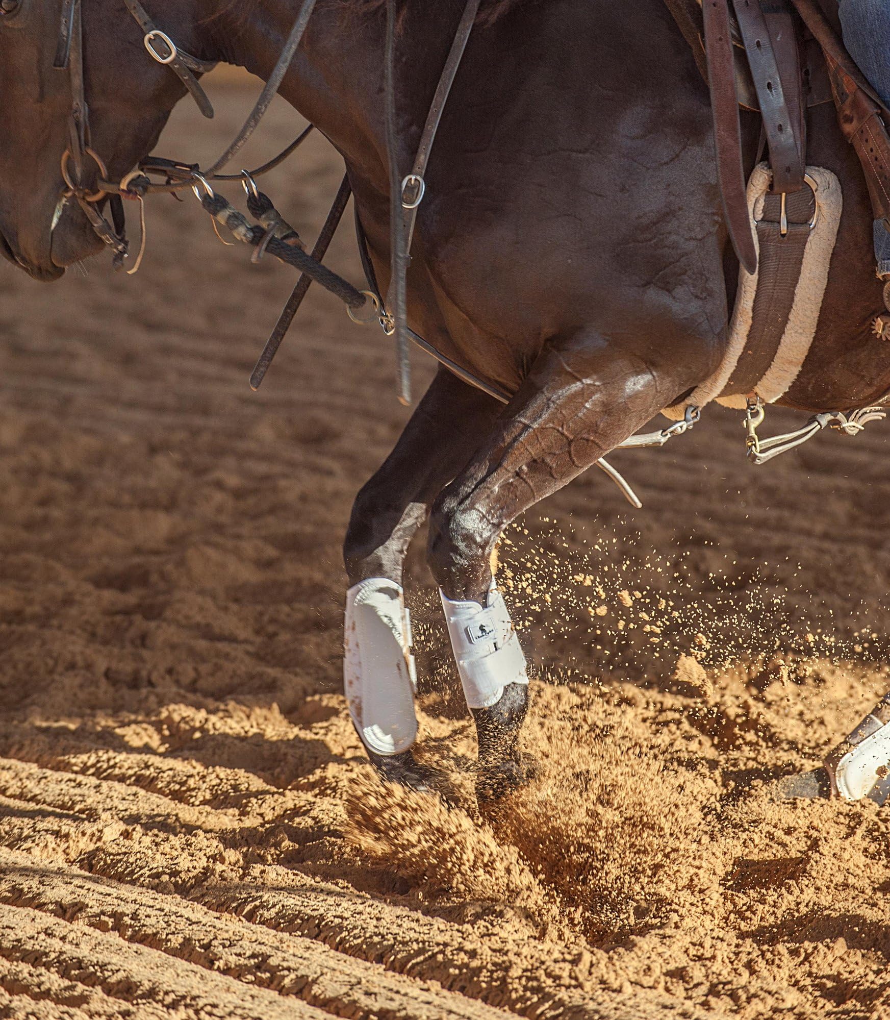 Classic Equine AirWave splint boot front white show-ready boot for training and competition protection