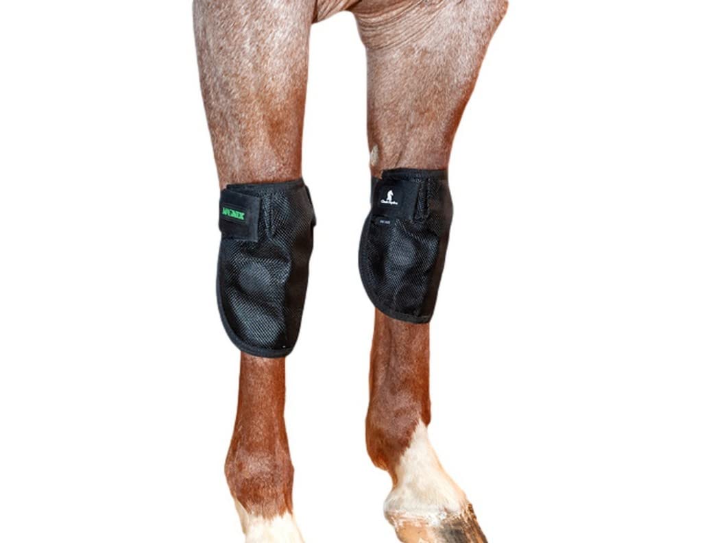 Classic Equine MagNTX Knee Wrap closeup showing magnetic therapy support for knee health.