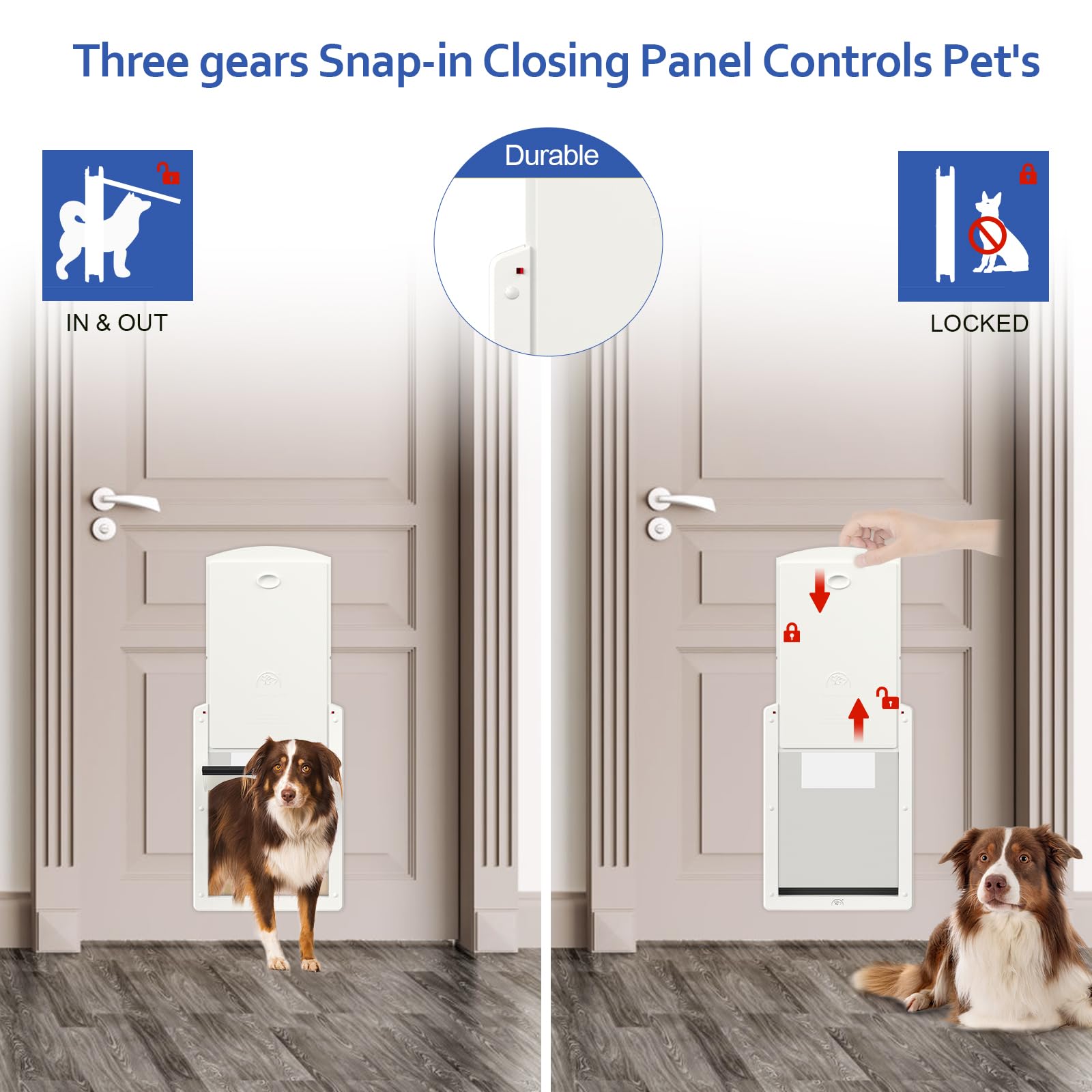Classicmacher door in use by a dog showing freedom and convenience.