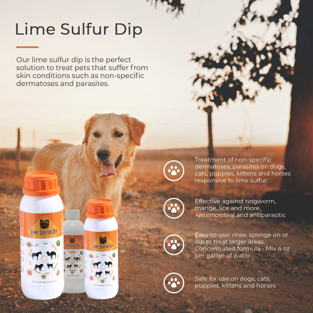 Classic's Lime Sulfur Dip concentrated formula indicating cost efficiency