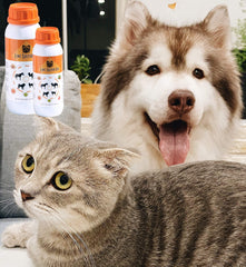 Classic's Lime Sulfur Dip application on pet fur for targeted use