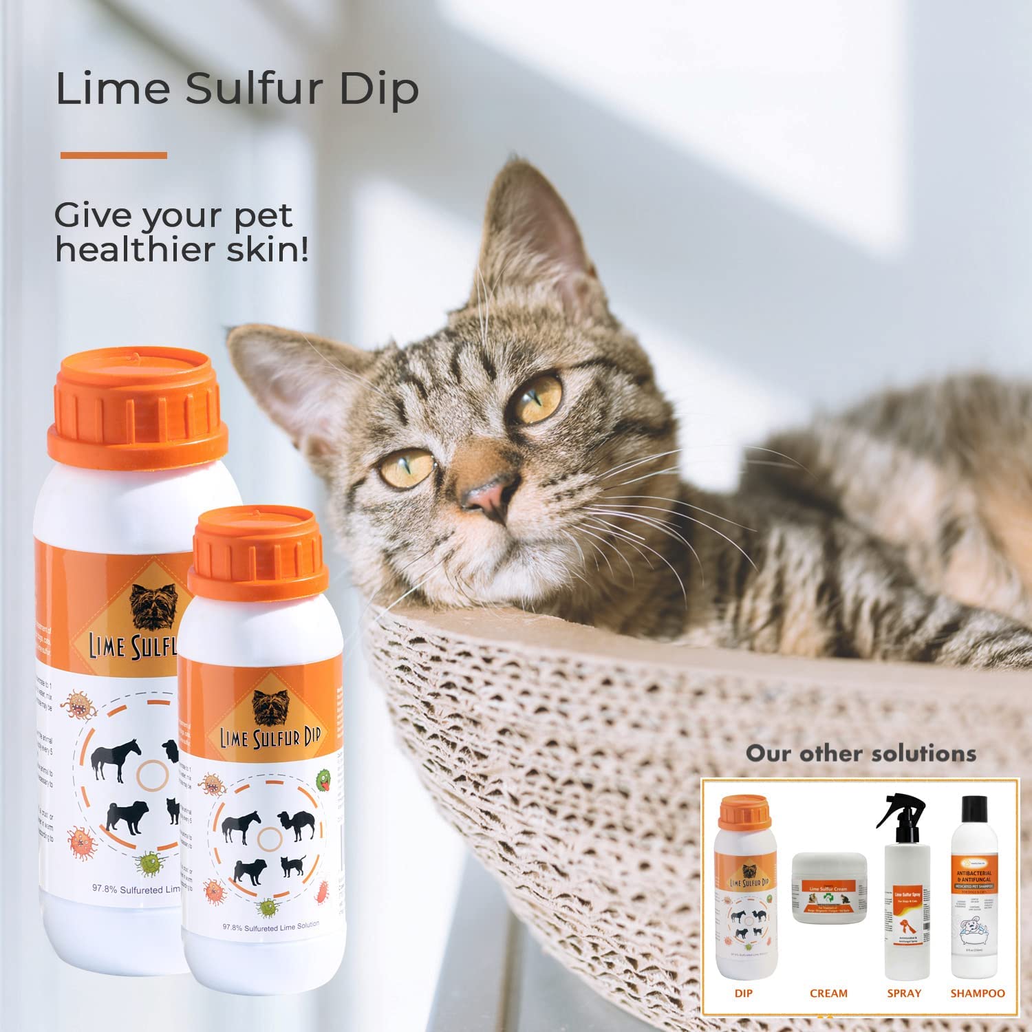 Classic's Lime Sulfur Dip being used for a pet dip bath on fur
