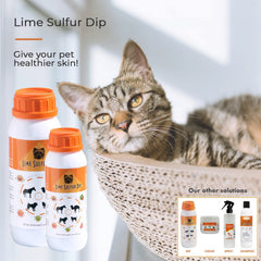 Classic's Lime Sulfur Dip being used for a pet dip bath on fur
