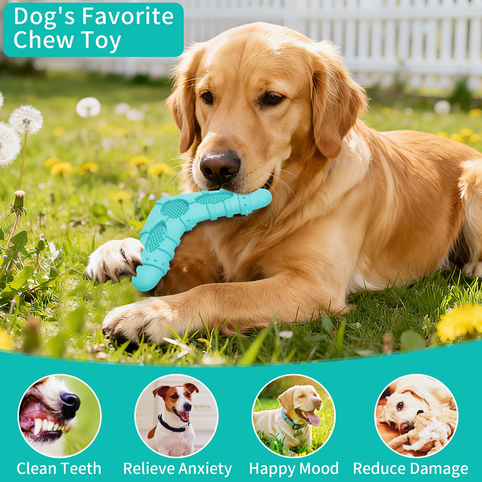 ClawClawHome blue teething toys are safe, non-toxic, and designed for supervised use.