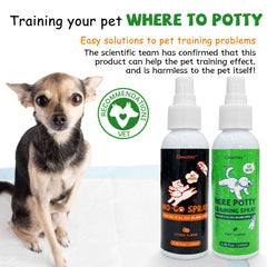 Clawzbey Here Potty Training Spray in action guiding dogs to mat effectively.