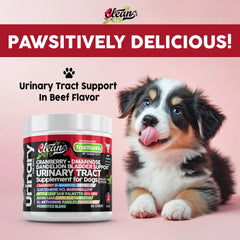 Clean Pets Dandelion-root tea for dogs supports gentle bladder health