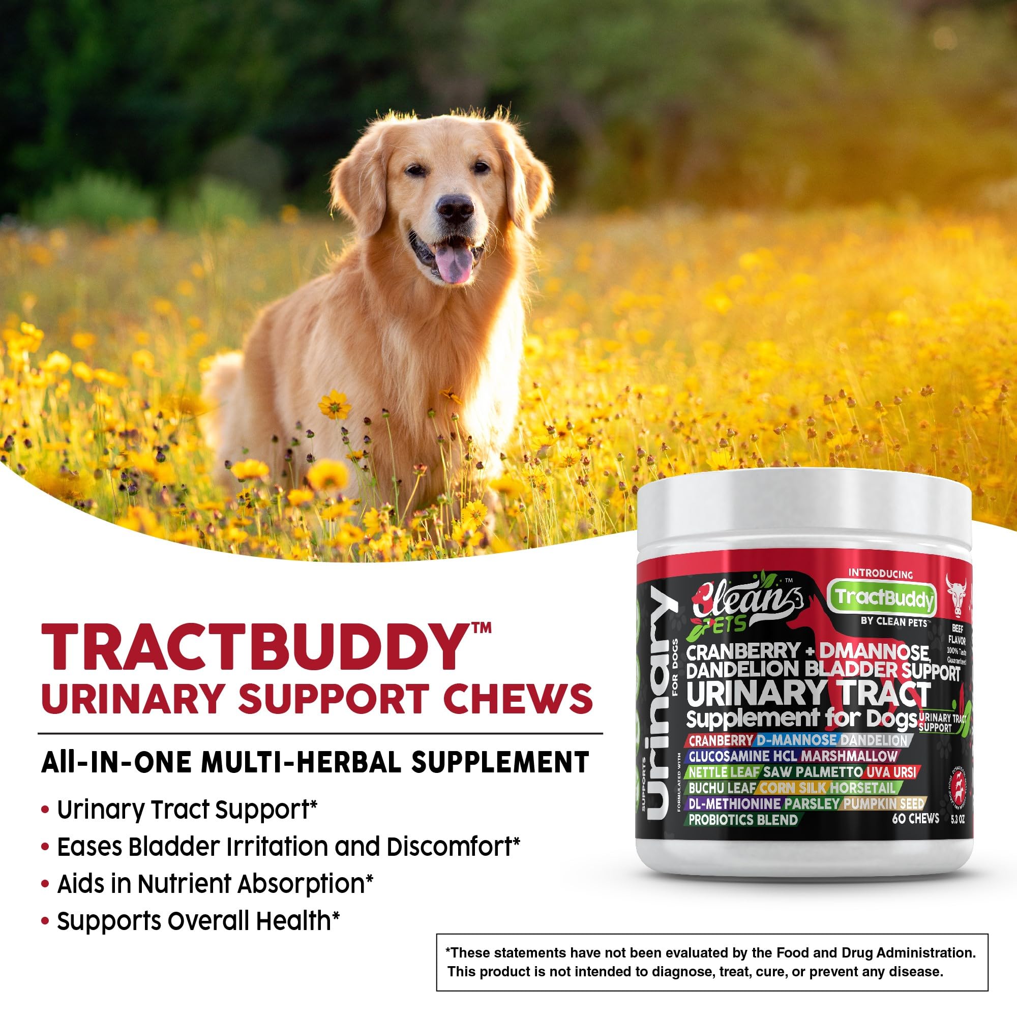 Clean Pets glucosamine-chondroitin dogs image signals joint and urinary comfort