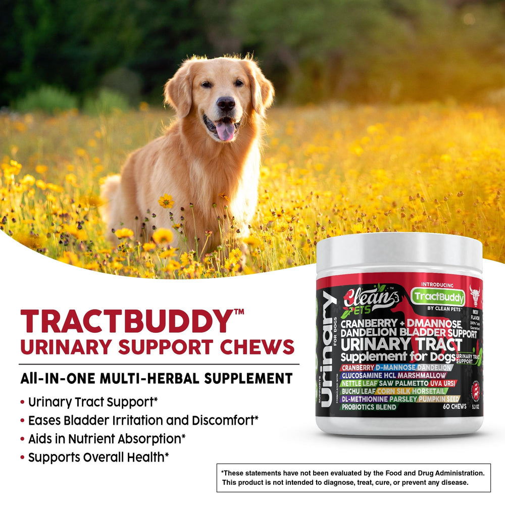 Clean Pets glucosamine-chondroitin dogs image signals joint and urinary comfort