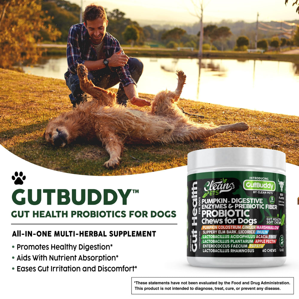 Clean Pets colostrum-powder shot showcases immune-support ingredient mingling with probiotics