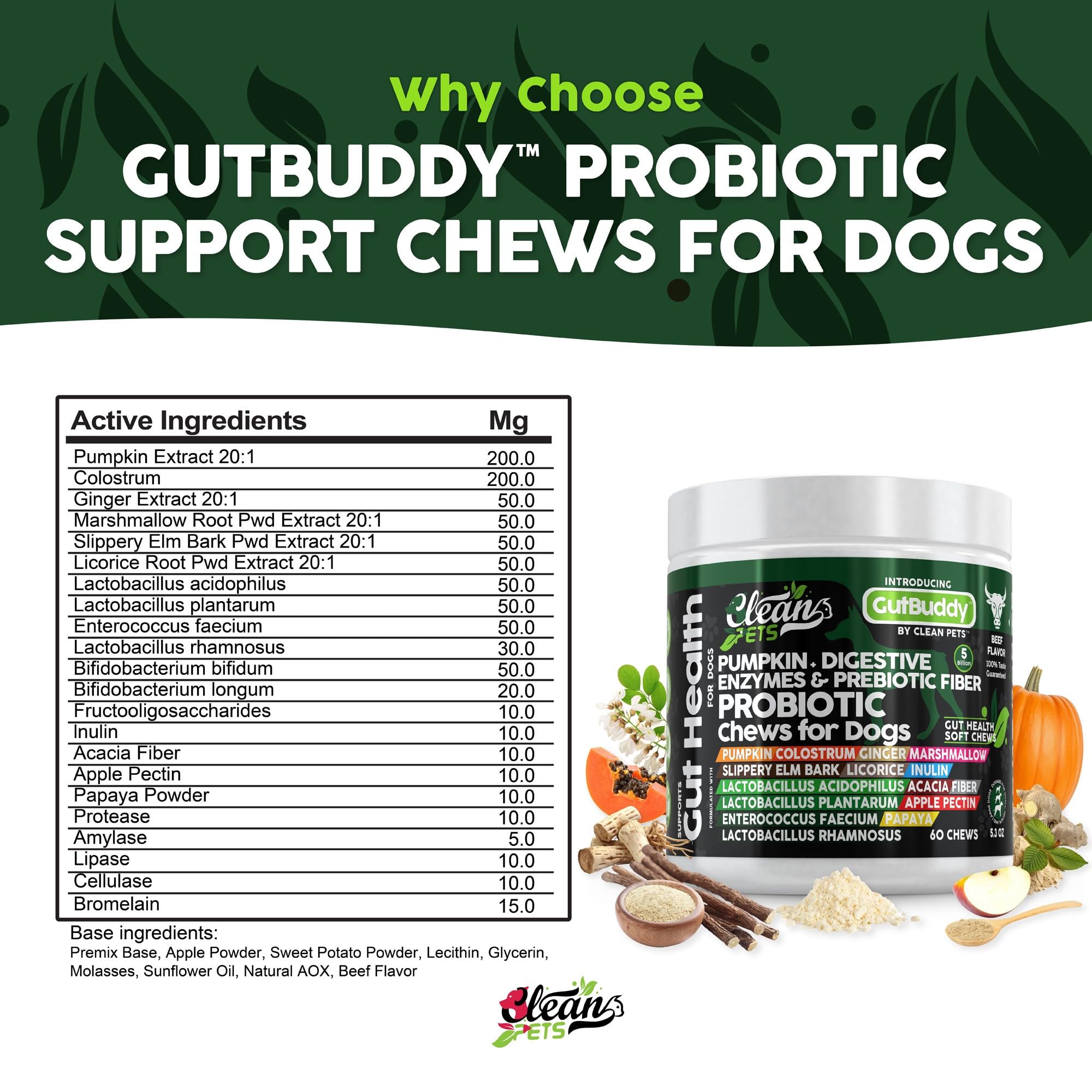 Clean Pets digestive-enzymes-tablet display highlights enzymes aiding nutrient breakdown