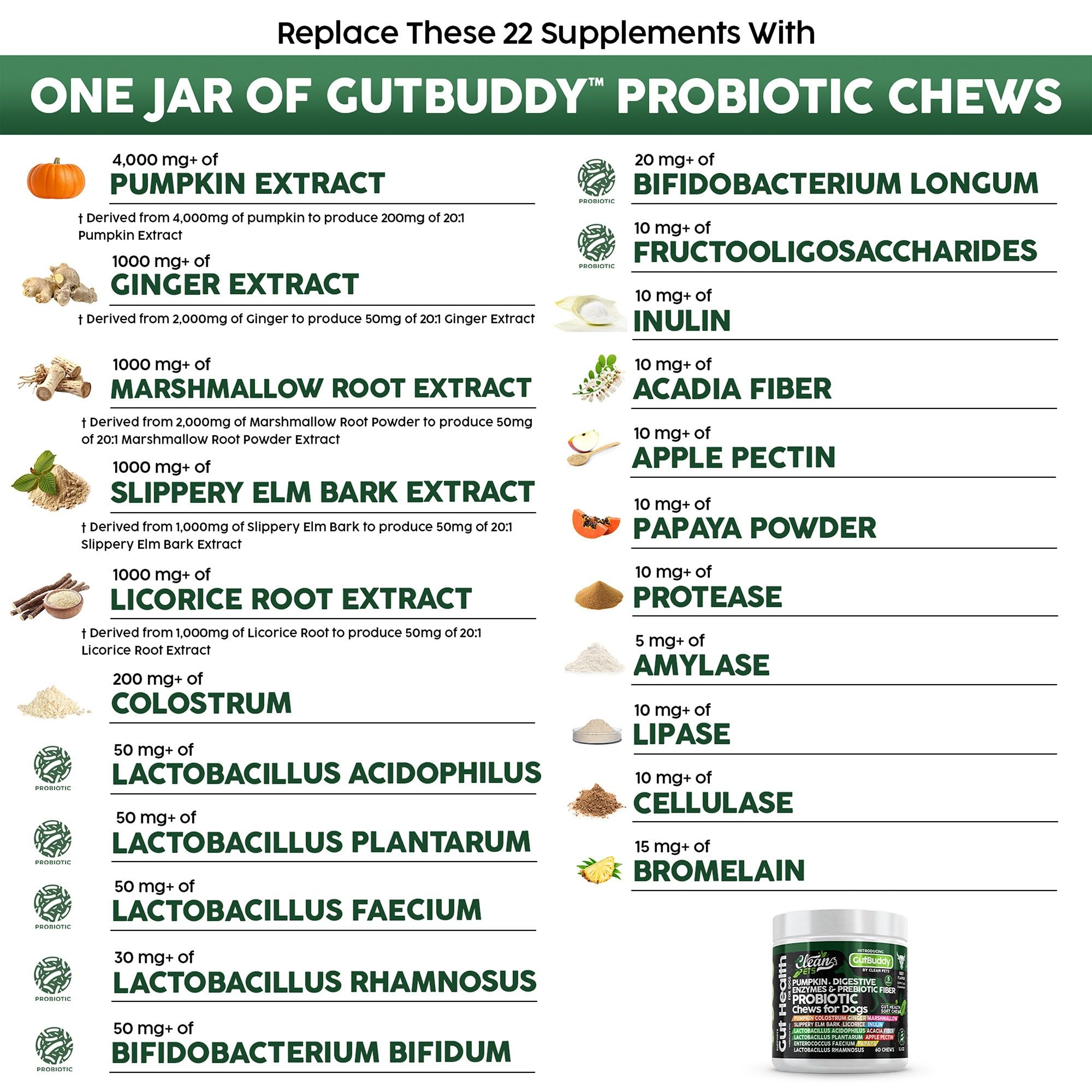 Clean Pets pumpkin-puree image emphasizes fiber-rich option aiding regularity and gut balance