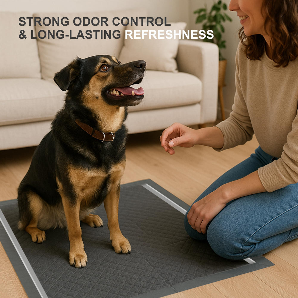 CLEAN SPACES Charcoal Puppy Pads show 6-layer protection for secure leak containment.