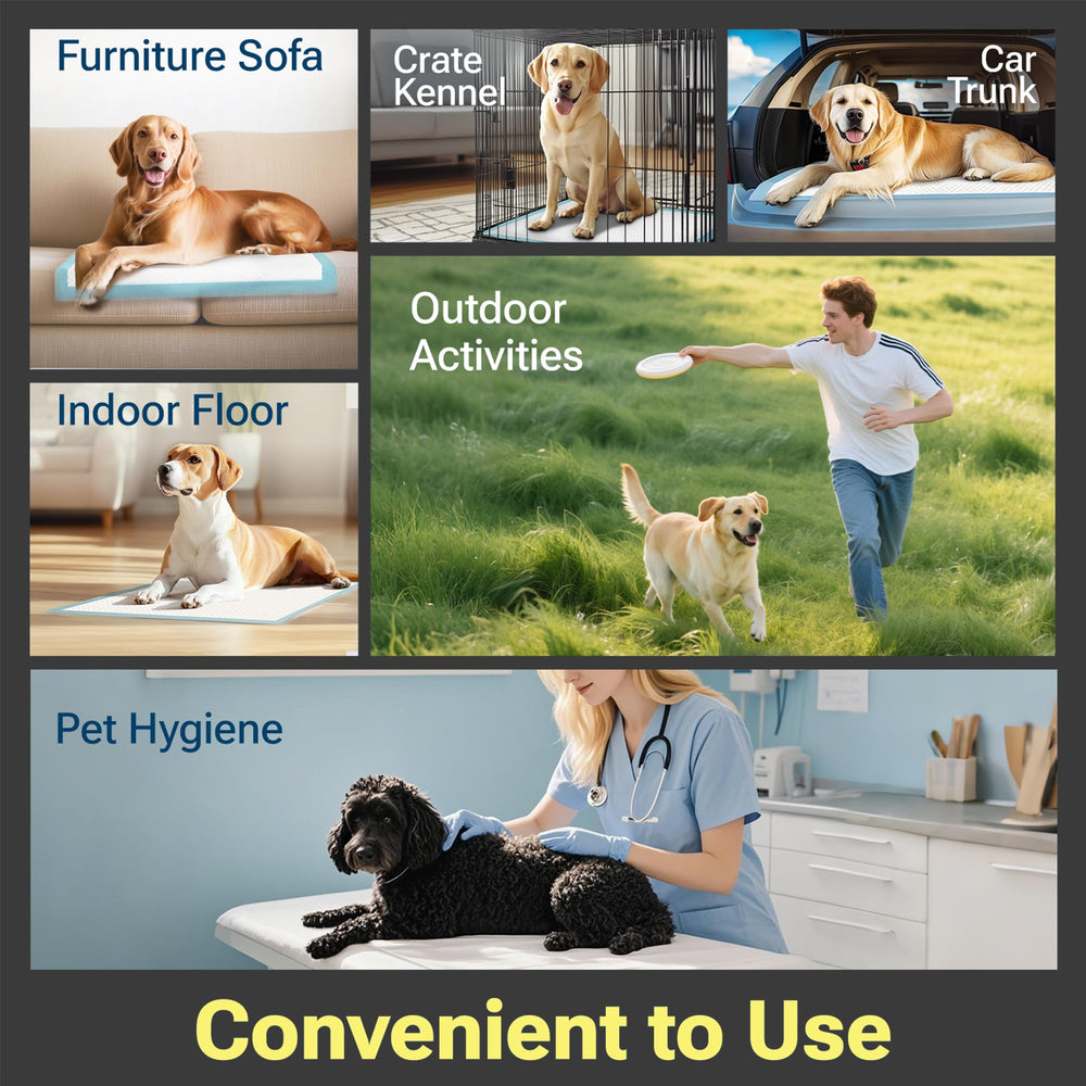 CLEAN SPACES Charcoal Puppy Pads include a soft top layer gentle for pets and people.