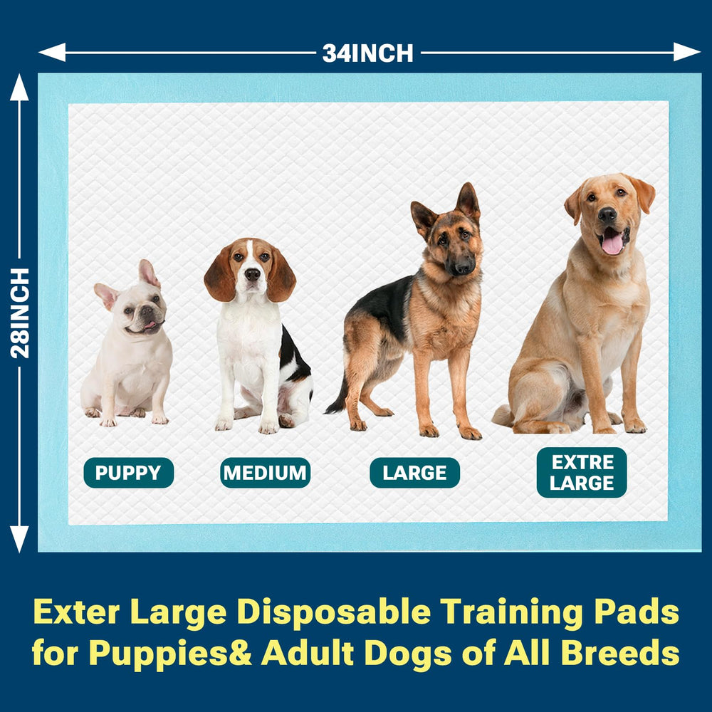 CLEAN SPACES extra-large puppy pads ideal for training and bed protection