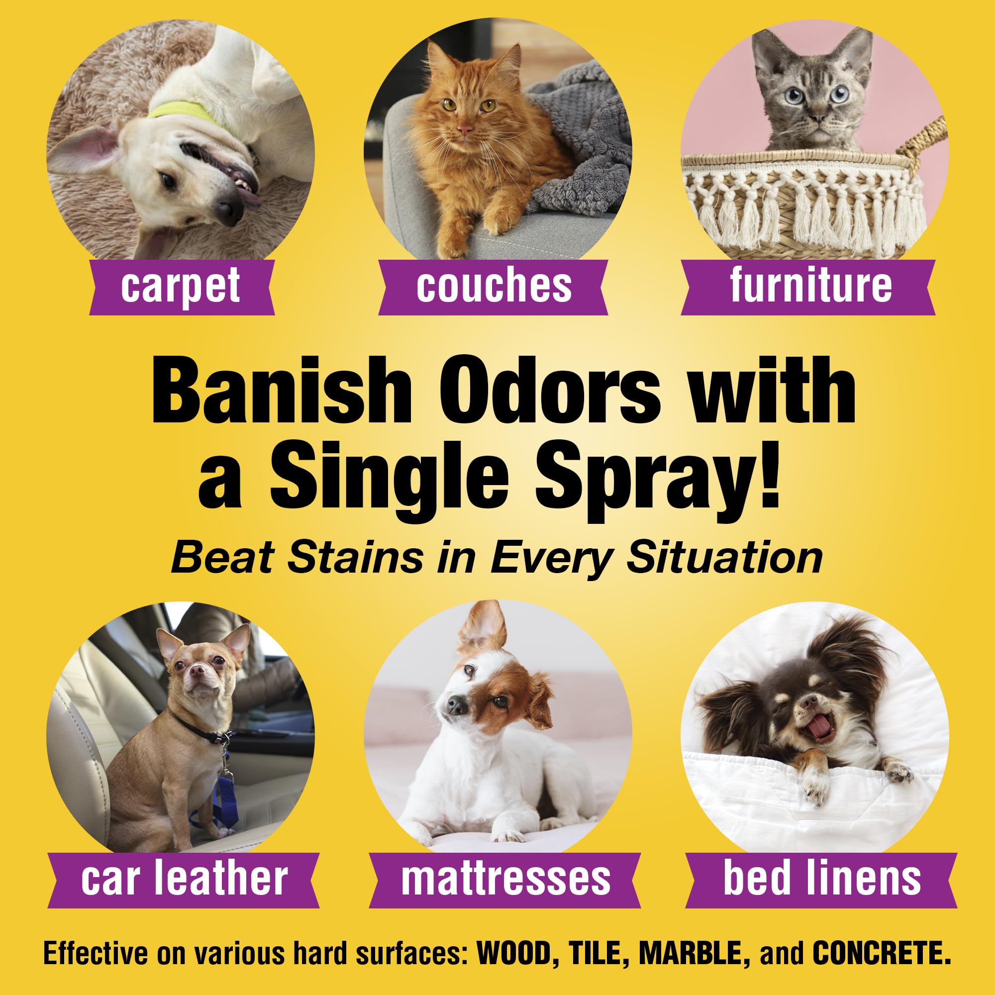 CLEANING HEROES Bedding and carrier odor removal with enzyme spray