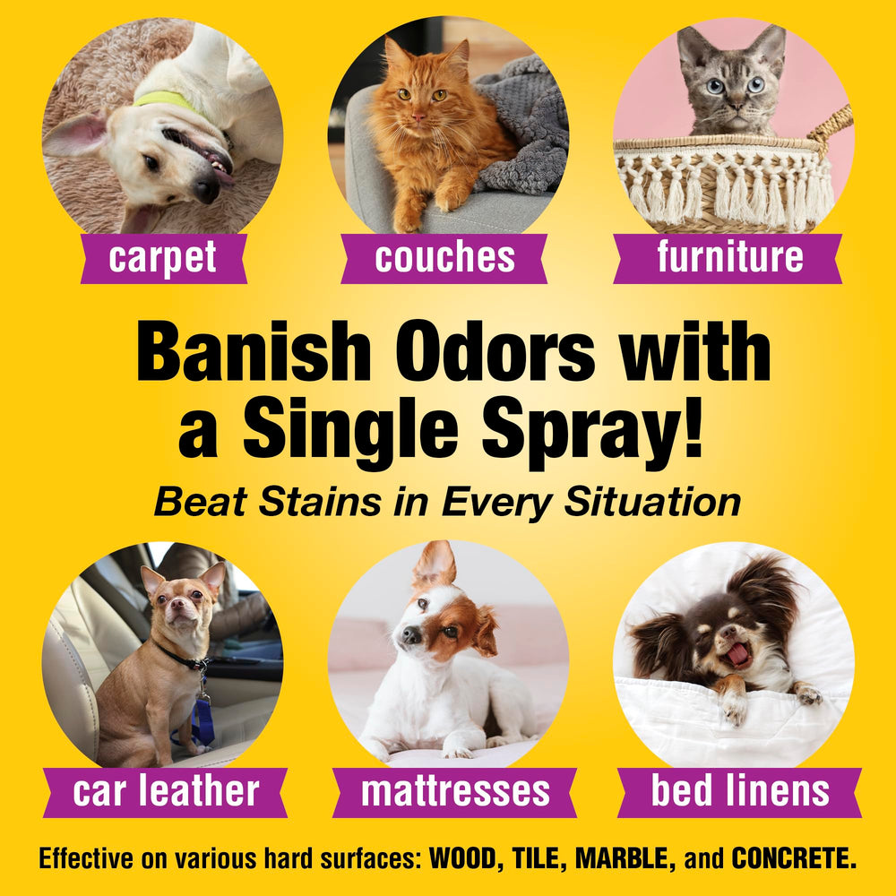 CLEANING HEROES Bedding and carrier odor removal with enzyme spray