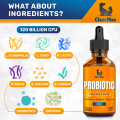 Clear Max Liquid Probiotics enzymes close-up highlighting Papain, Bromelain, Peptidase.