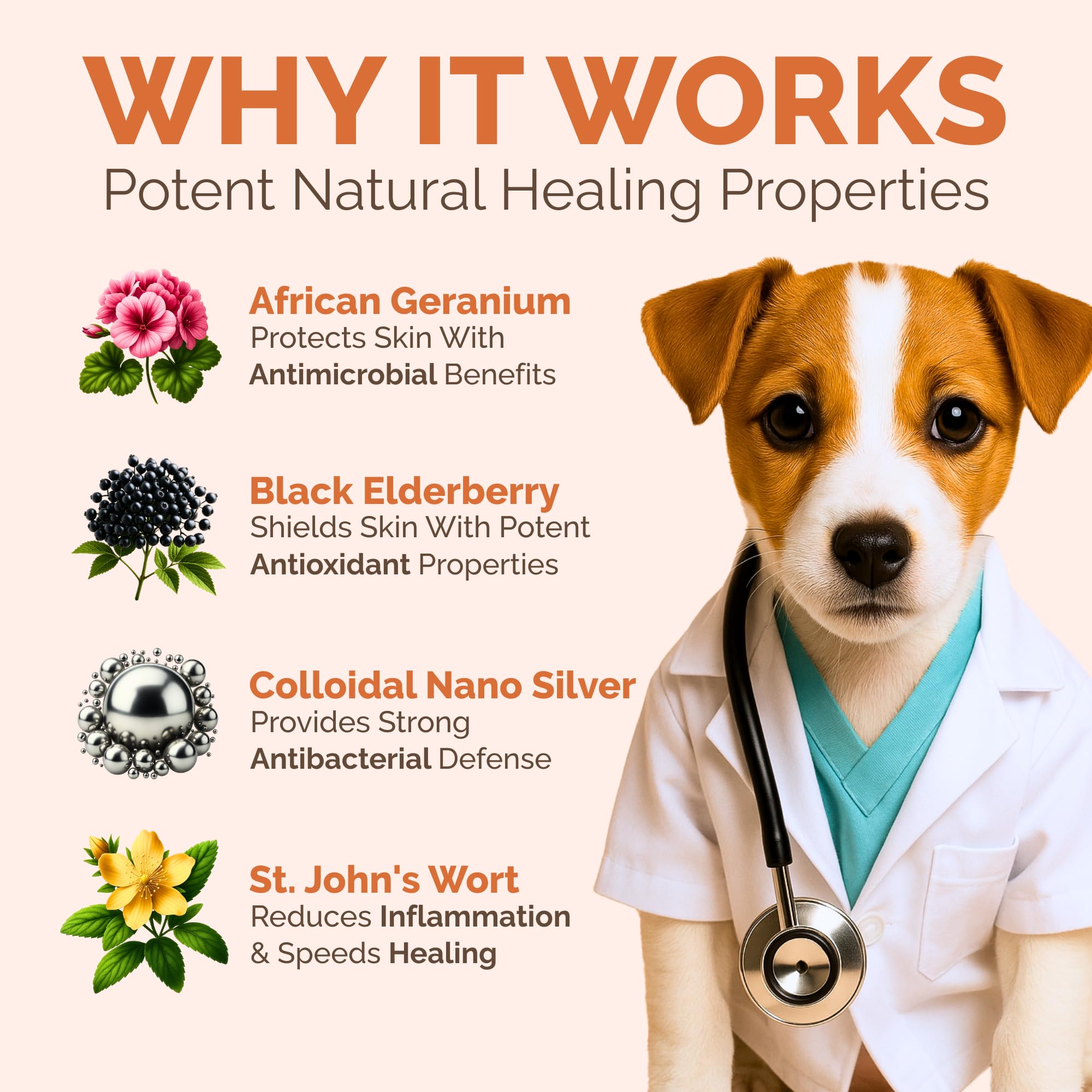 ClearFur vet-tested-approval logo reinforces trusted pet care.