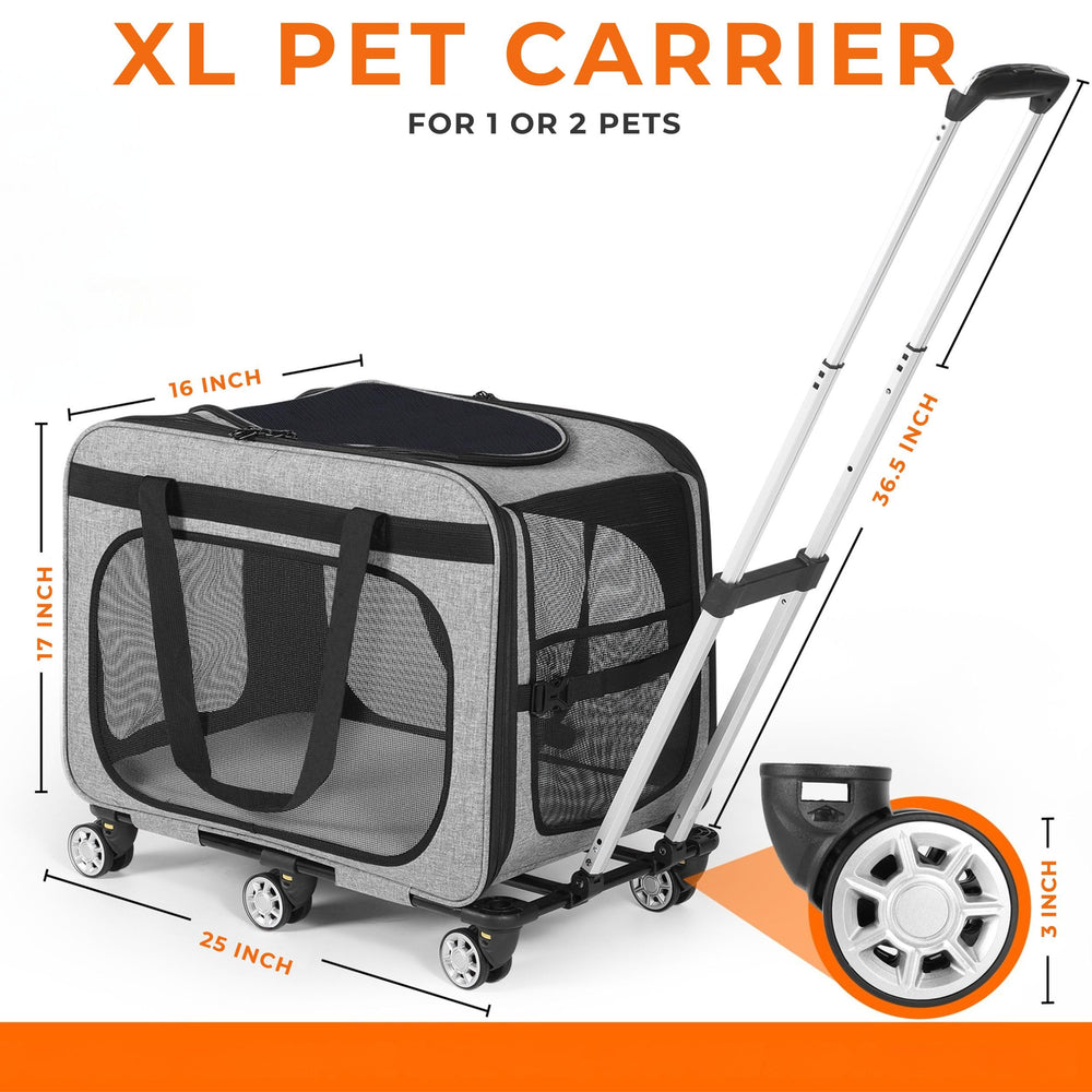 Clements Industries XL Cat & Small Dog Carrier front pocket and washable bedding for convenient organization.