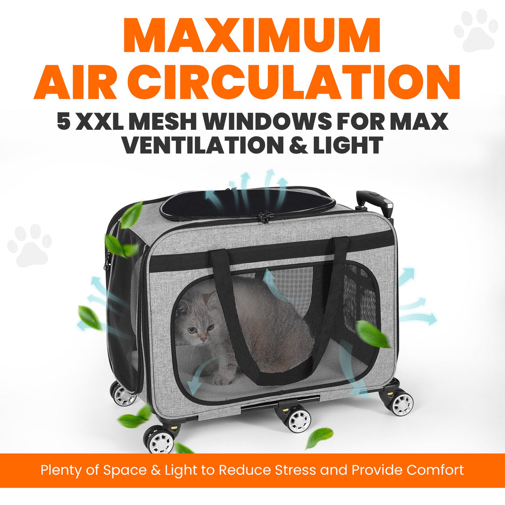 Clements Industries XL Cat & Small Dog Carrier auto-locking zippers for secure travel.