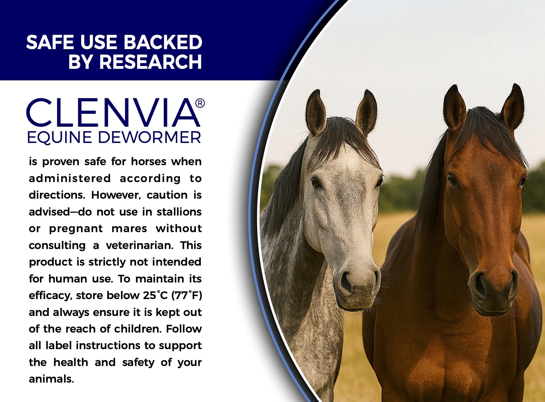 CLENVIA horse stable care packaging shows ready-to-use four-pack.