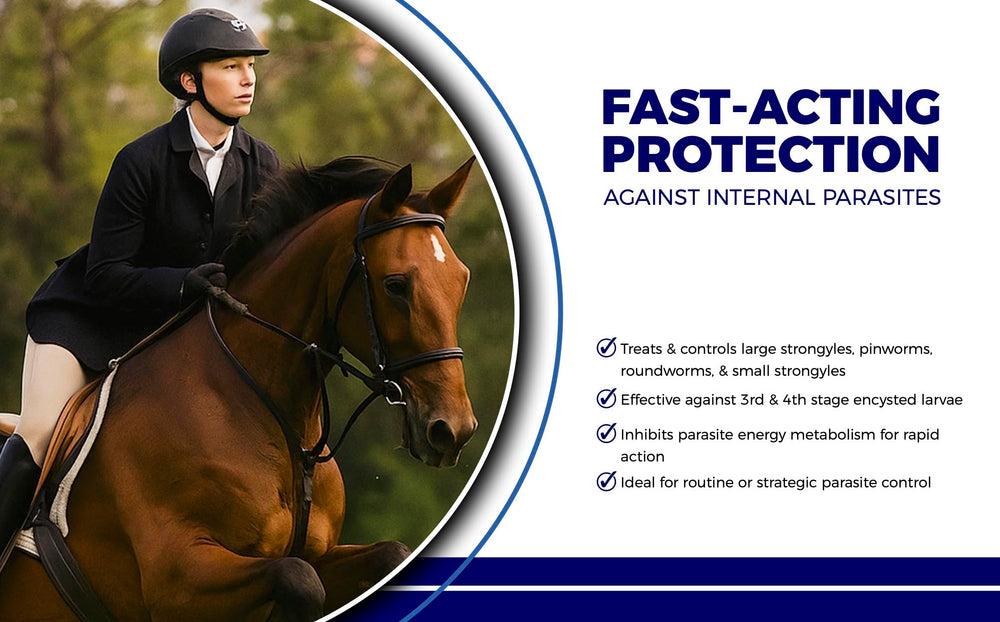 CLENVIA smooth oral paste application aids stress-free deworming.