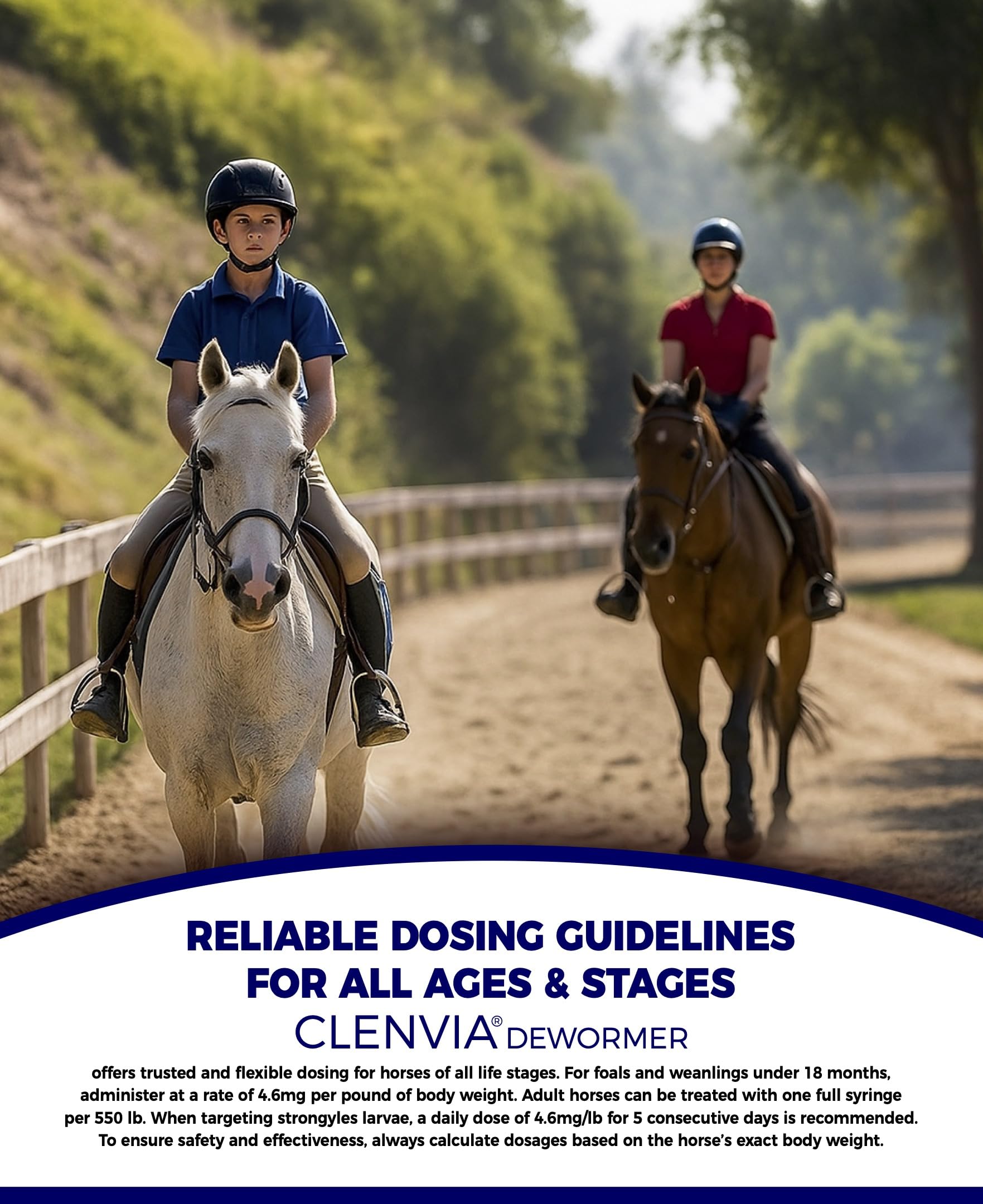CLENVIA trusted equine-care brand for reliable deworming routines.