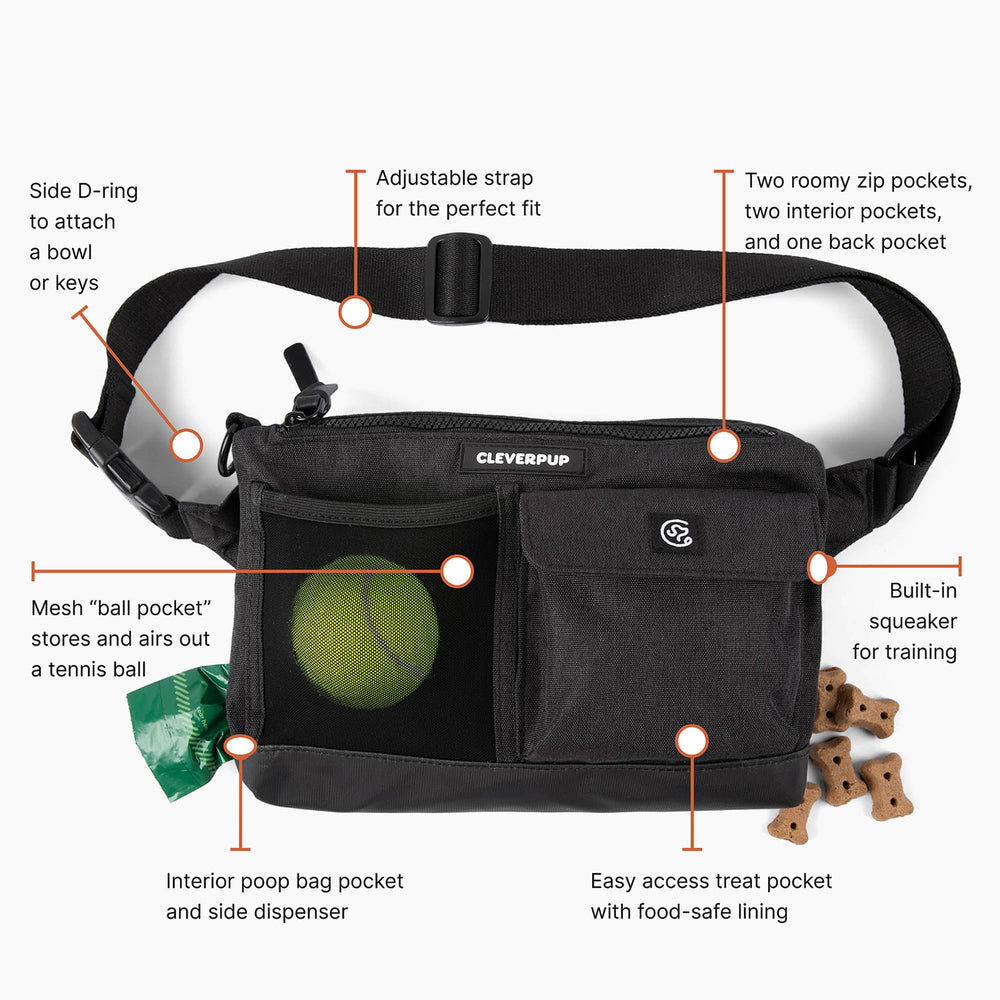 Cleverpup built-in squeaker in graphite aids training cues during play and practice.