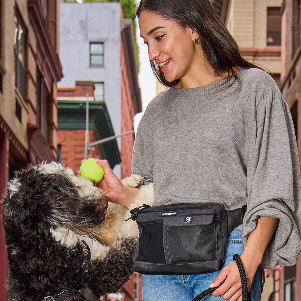 Cleverpup poop bag dispenser in graphite enables tidy pickups on walks.