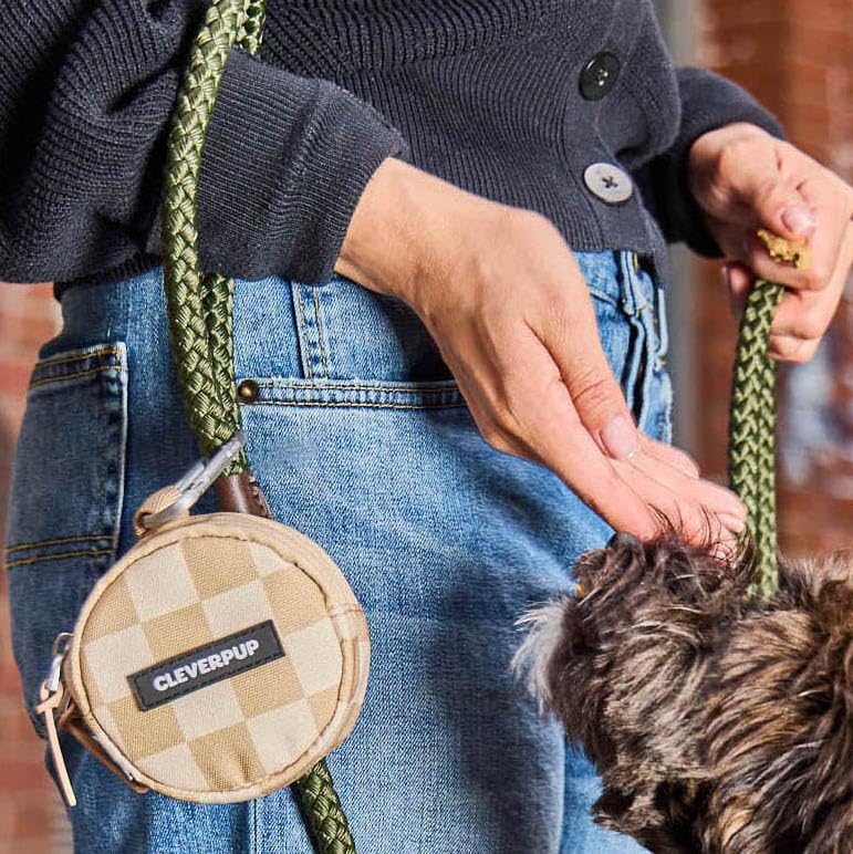 Cleverpup Snackpack carabiner attachment secures leash or bag clipping.