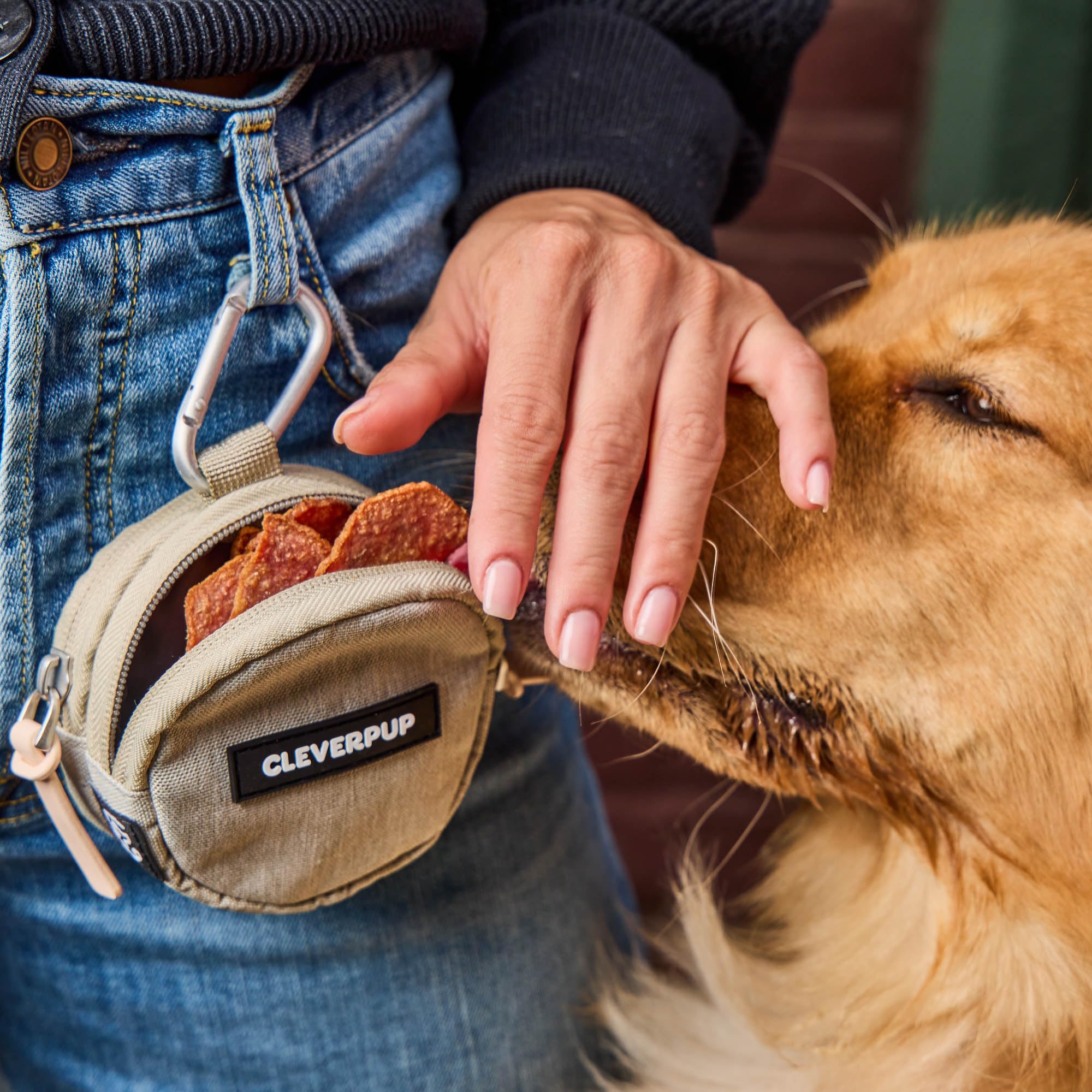 Cleverpup Snackpack worn for dangle-free walks thanks to back webbing.