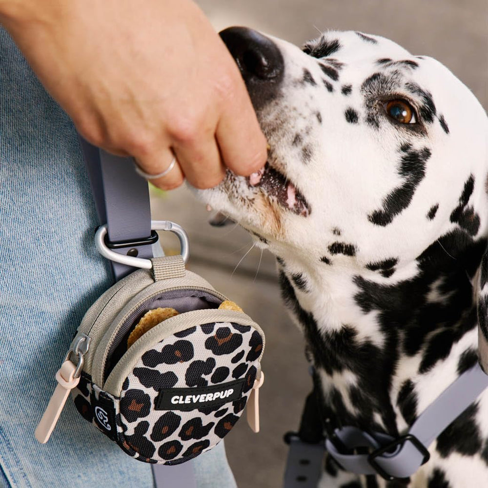 Cleverpup Snackpack metal carabiner attachment for secure carry