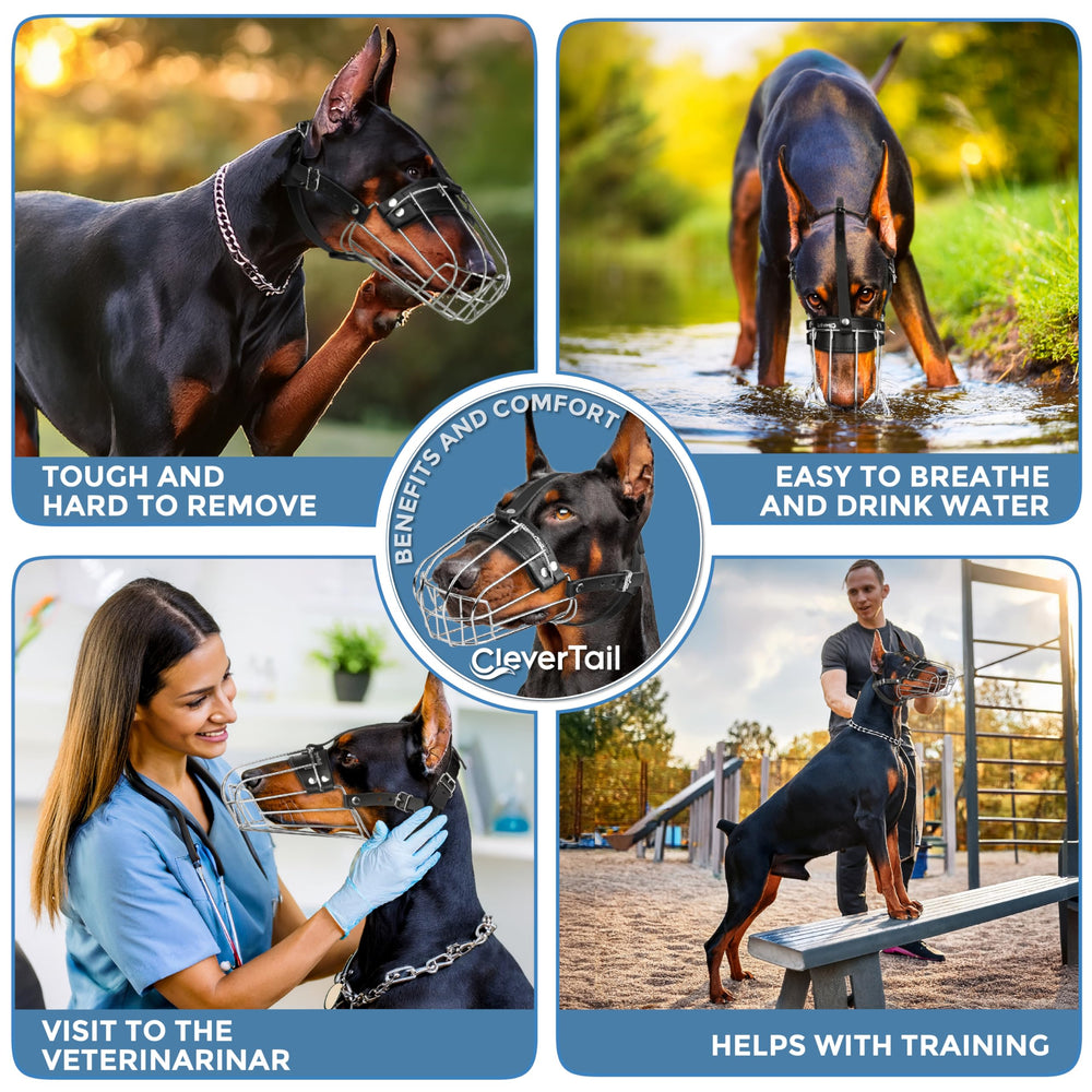 CleverTail dog muzzle breathability helps drinking during outdoor walks