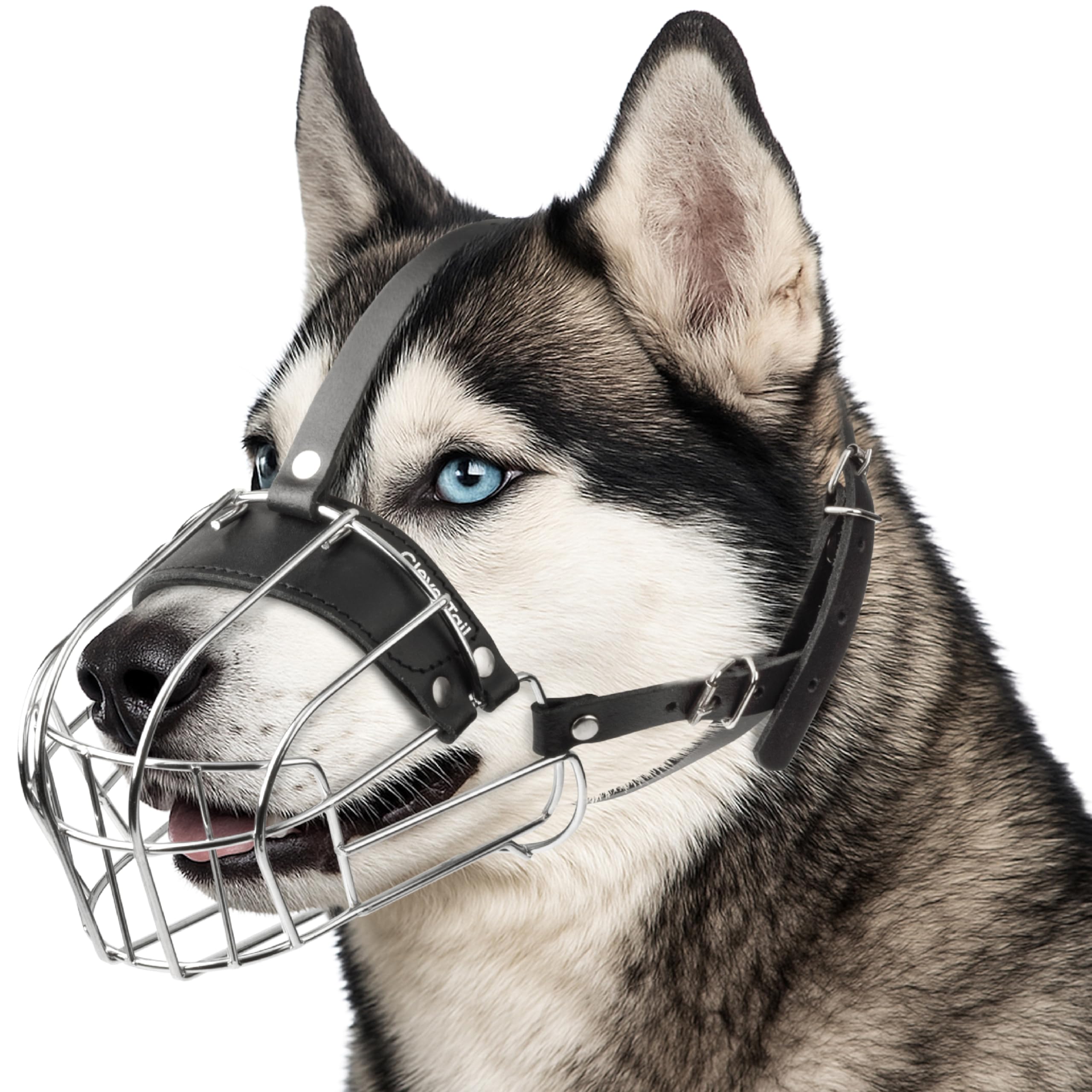 CleverTail Husky Muzzle secure-fit on long snout for safer outdoor walks.