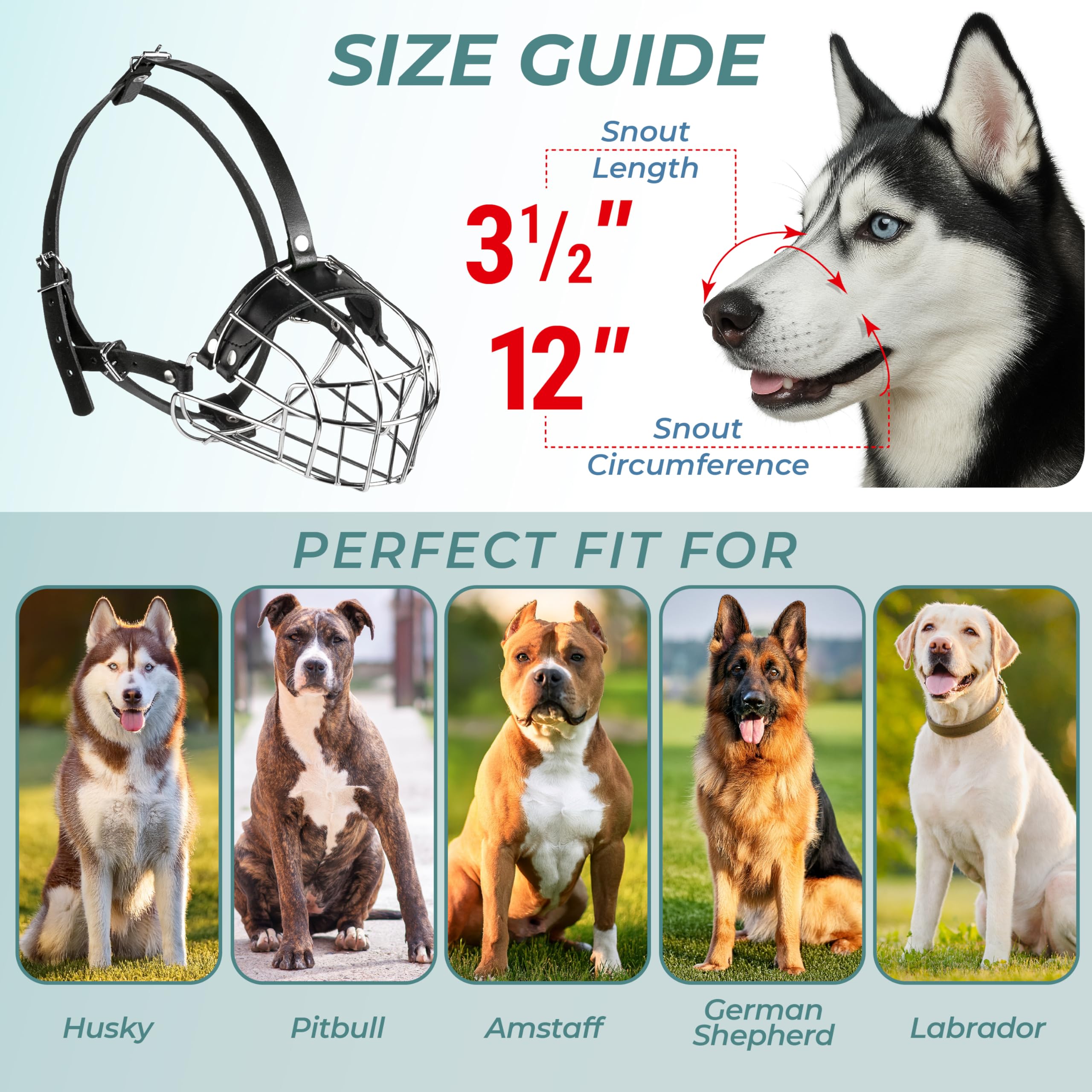 CleverTail Leather-straps adjustable muzzle provides comfortable, snug fit.