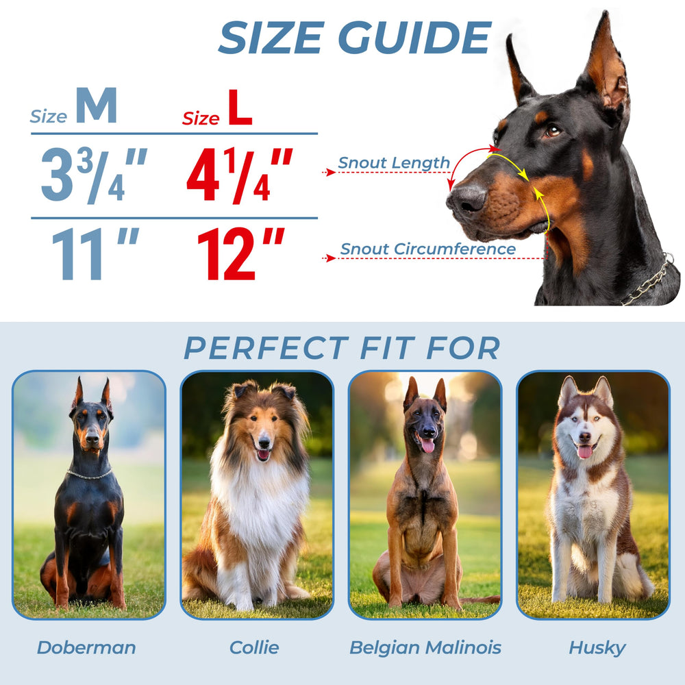 CleverTail leather-straps adjustable muzzle demonstrates secure, comfortable fit for large dogs
