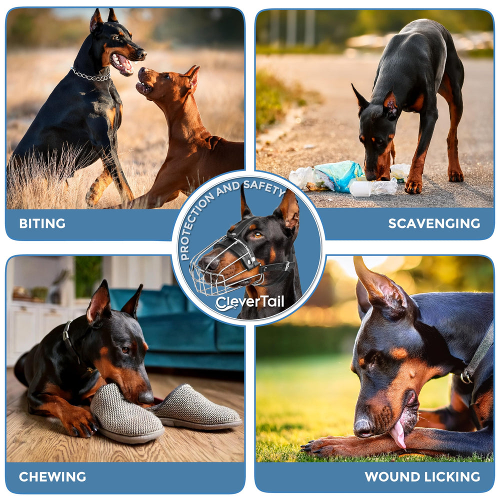 CleverTail compatibility for long-snout breeds like Doberman Malinois supports versatile use