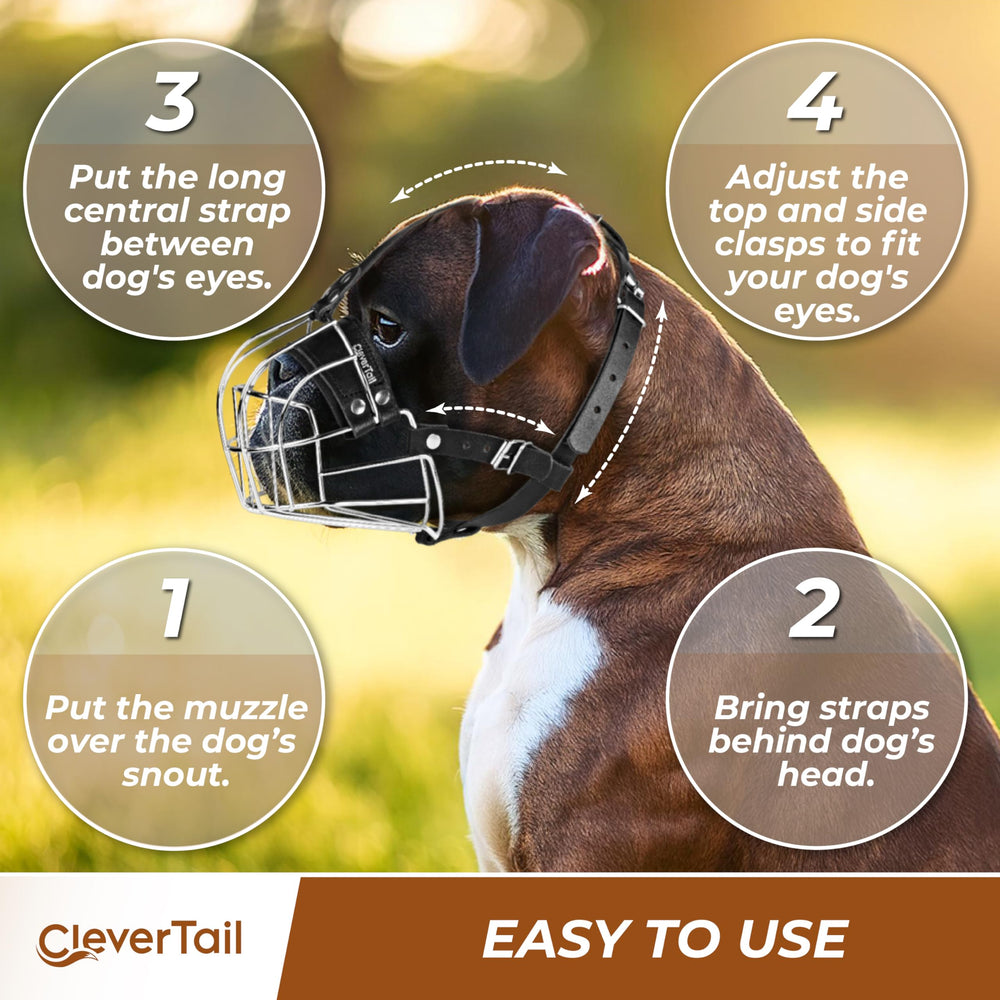 CleverTail snout measure guide demonstrating accurate sizing