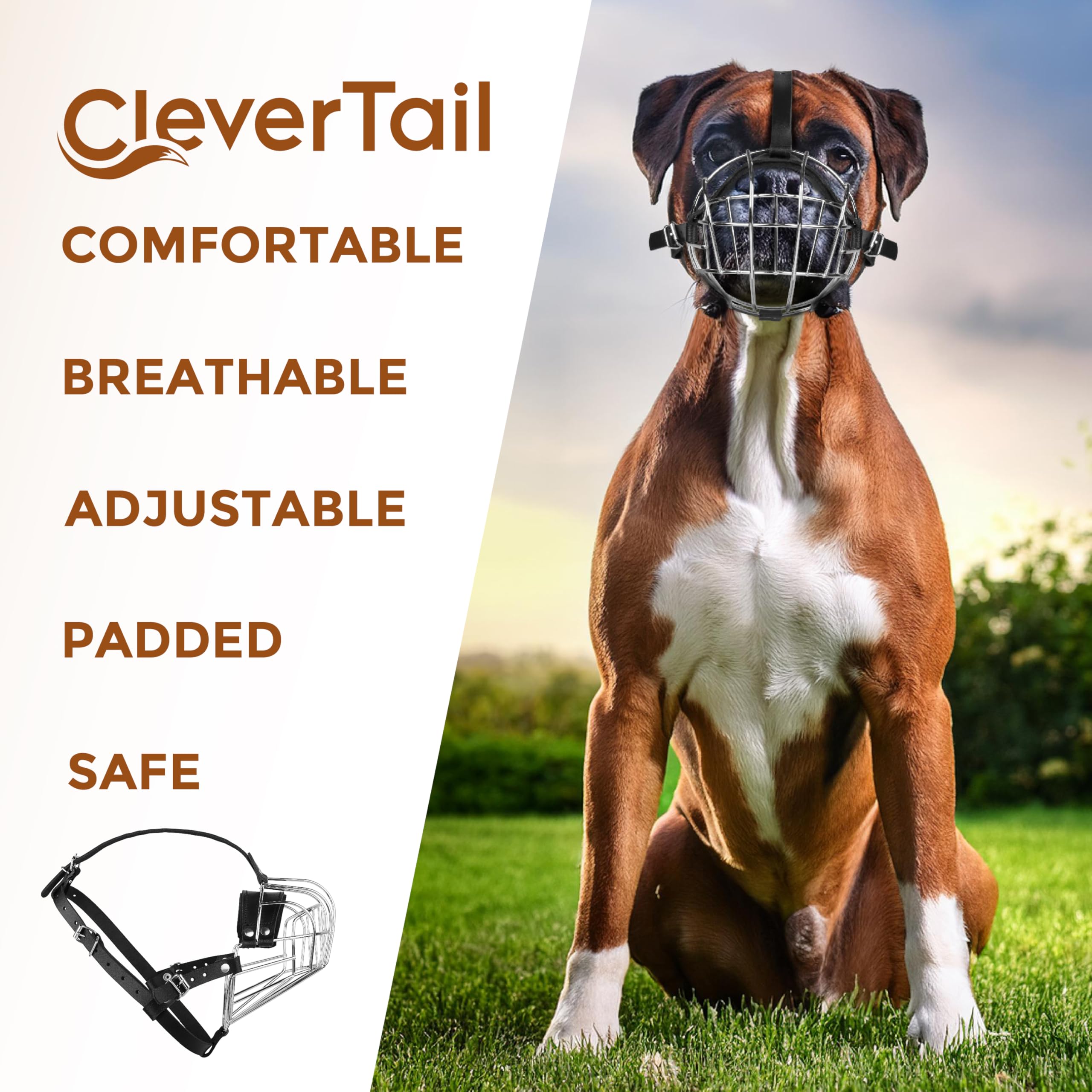 CleverTail vet and grooming use cases with metal muzzle in practice