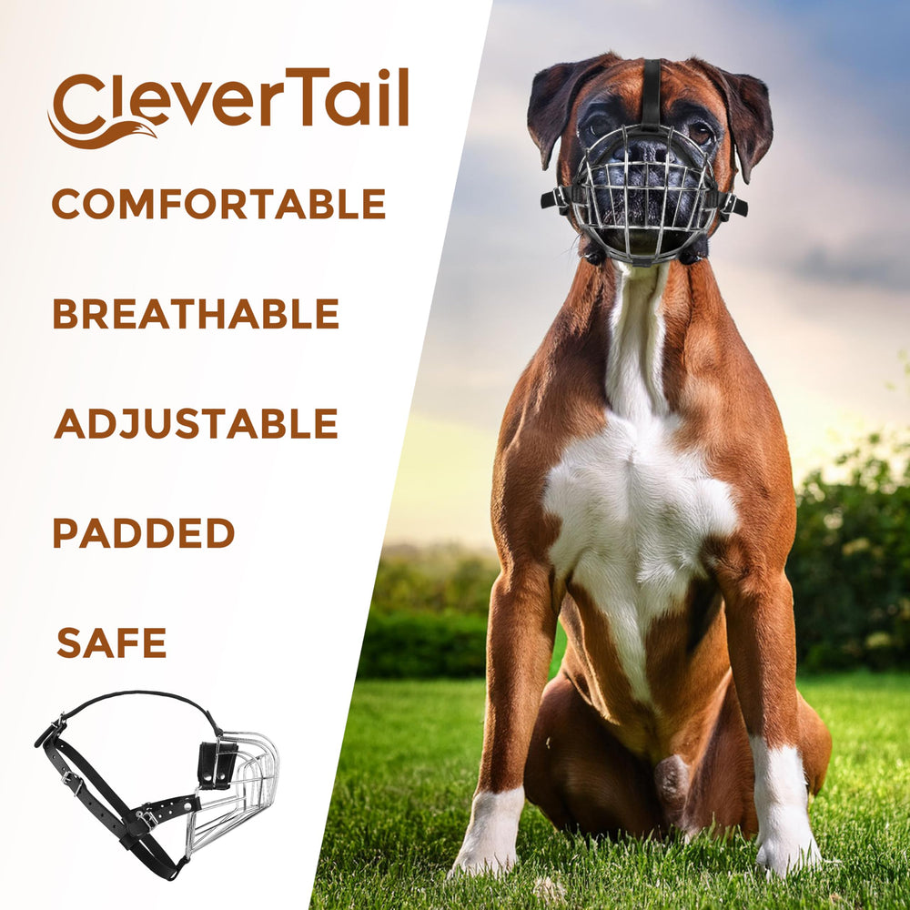 CleverTail vet and grooming use cases with metal muzzle in practice