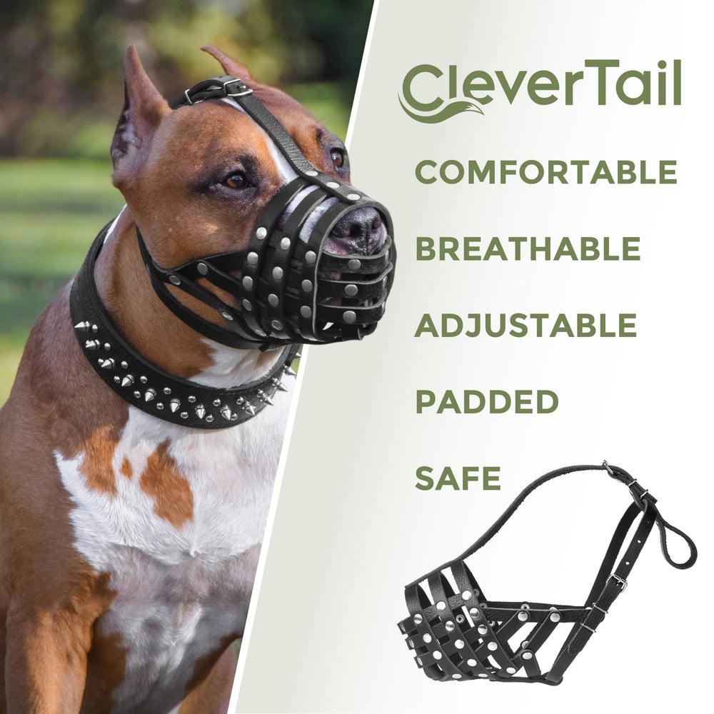 CleverTail muzzle easy cleaning and grooming compatibility