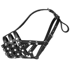 CleverTail muzzle on pitbull in use for safe walks