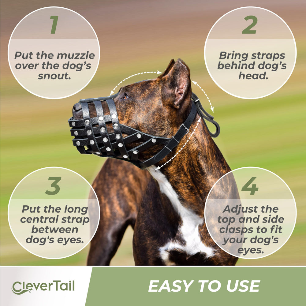 CleverTail muzzle stainless rivets add secure construction