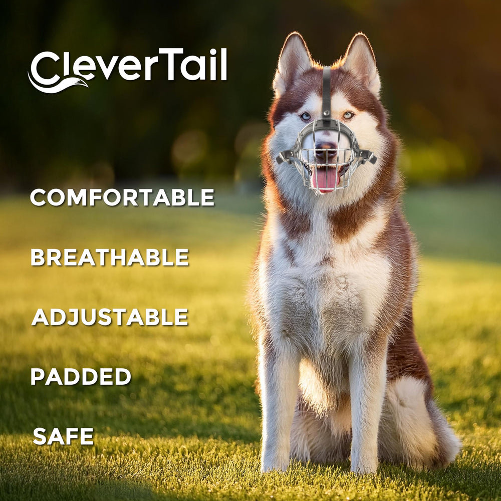 CleverTail Training-use muzzle helps curb eating during walks.