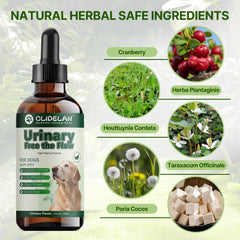 Clidelan dandelion and mineral-flush support image highlighting healthy urine flow.