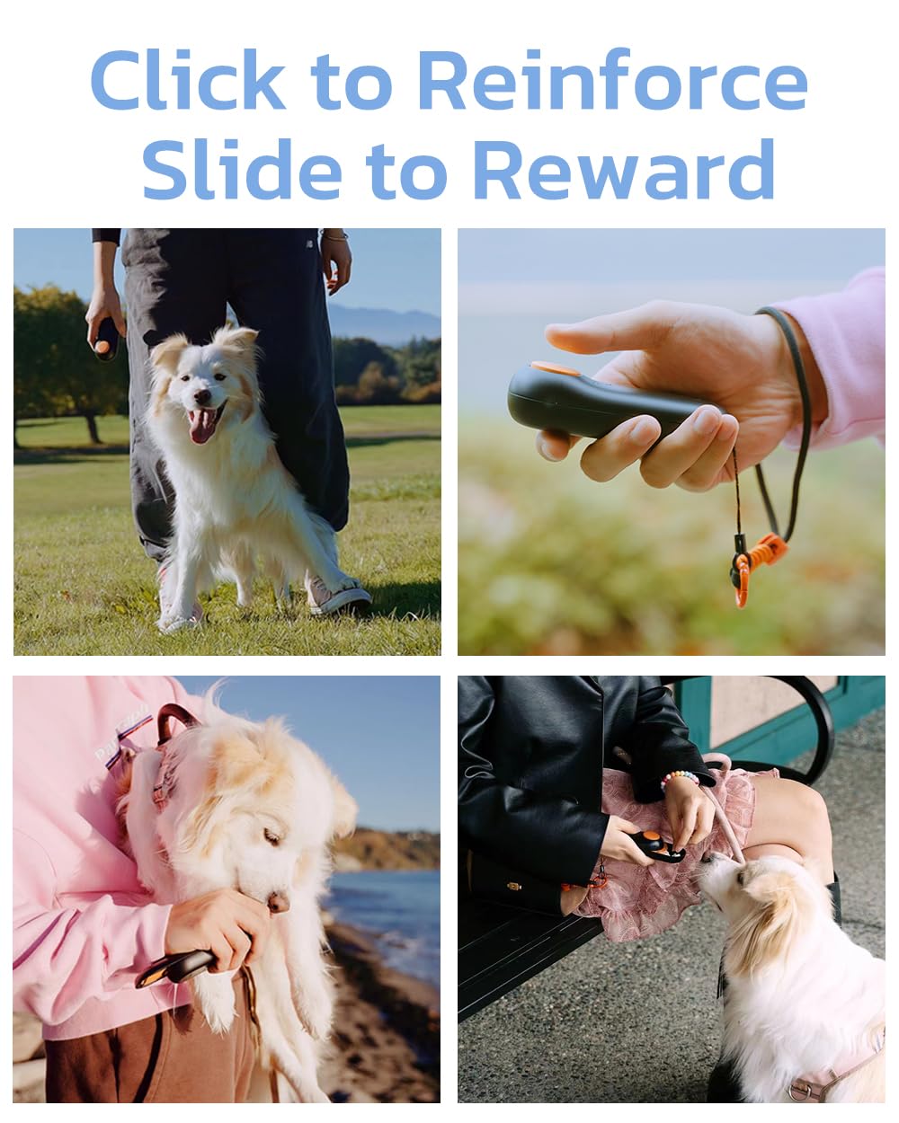 Clink Design on-the-go puppy training kit for flexible sessions.