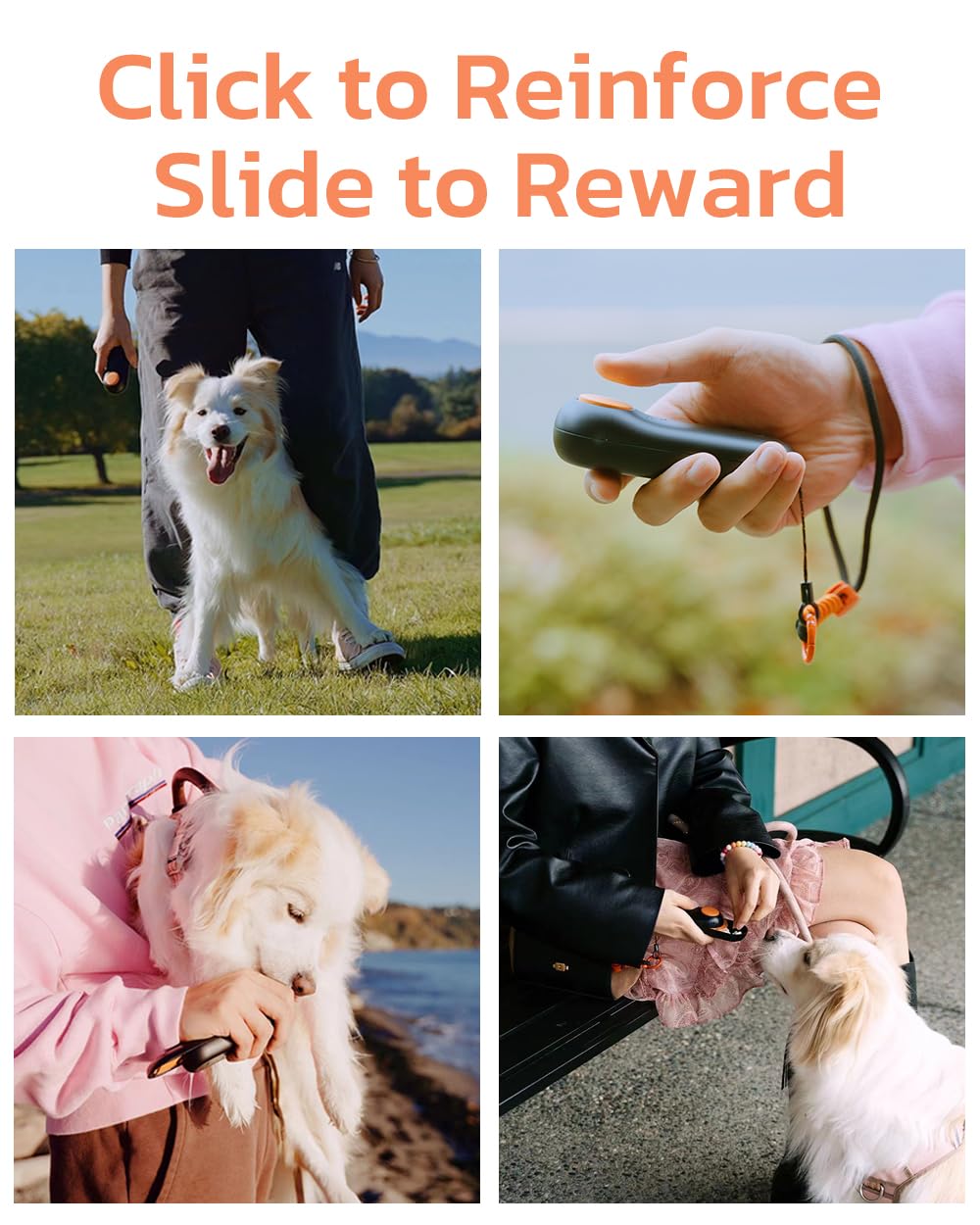 Clink Design puppy-training-essentials ideal for on-the-go rewards and practice.