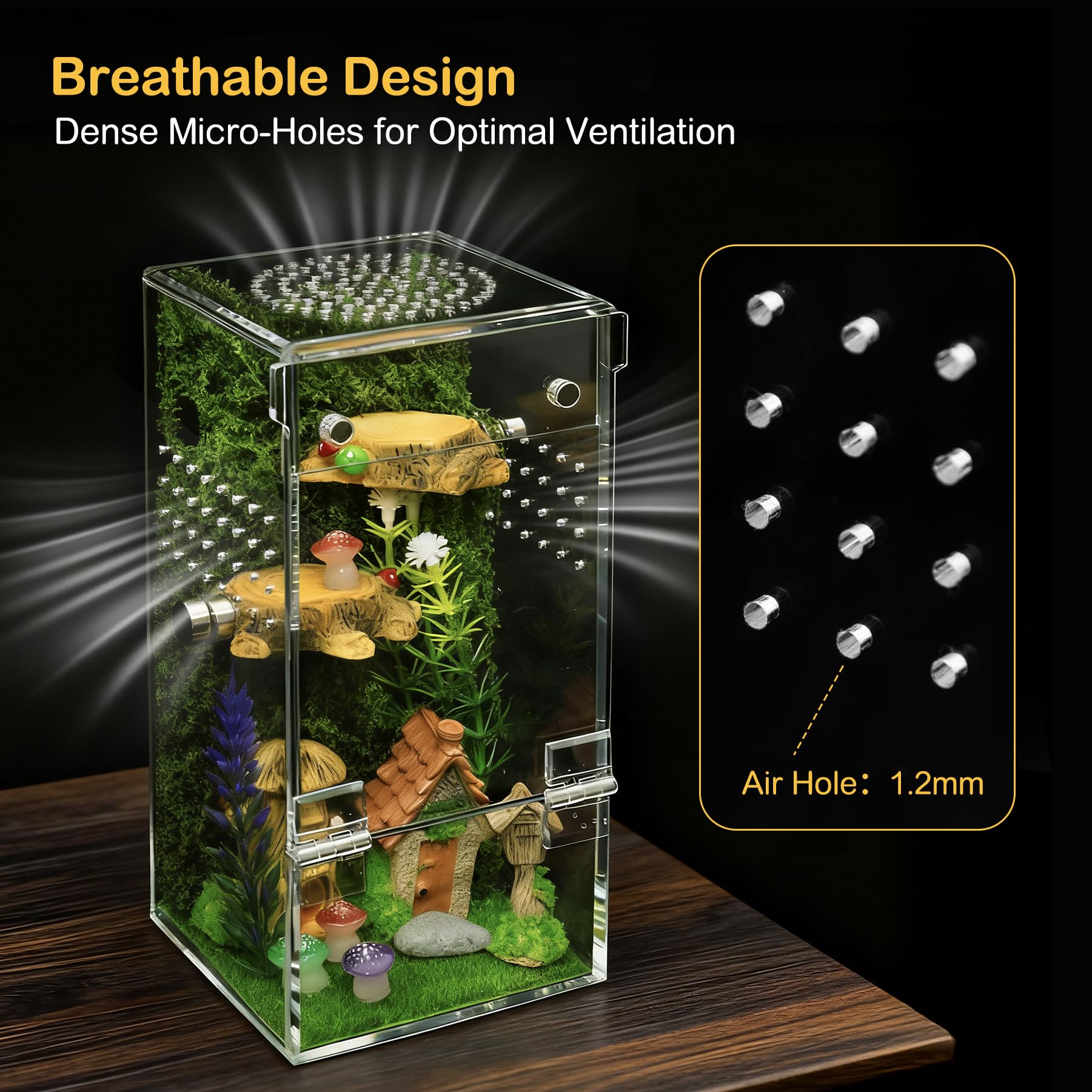Clioran 360-degree clear acrylic view for observing natural behaviors